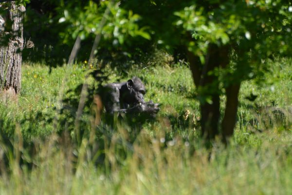 Une journée au cœur du Pal